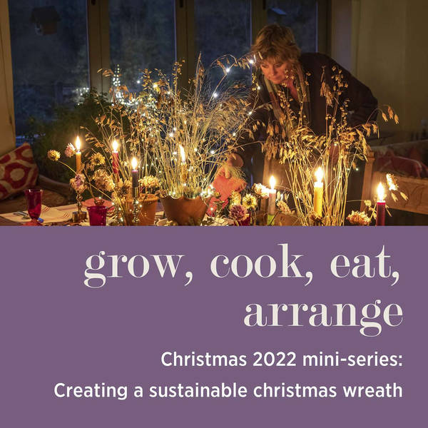 CHRISTMAS 2022 MINI-SERIES: Creating a Sustainable Christmas Wreath