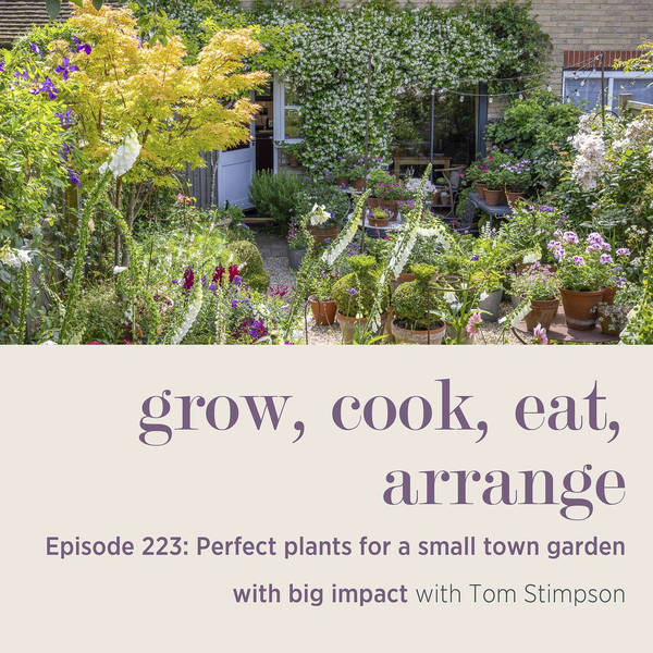 Perfect plants for a small town garden with big impact with Tom Stimpson - Episode 223