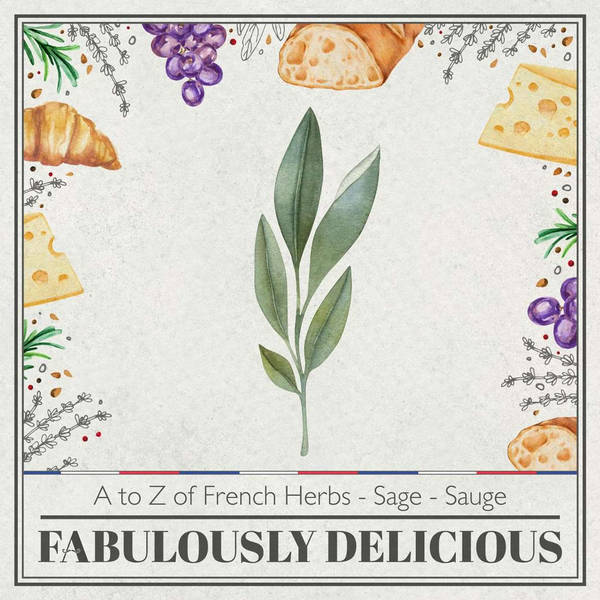 A to Z of French Herbs - Sage - Sauge