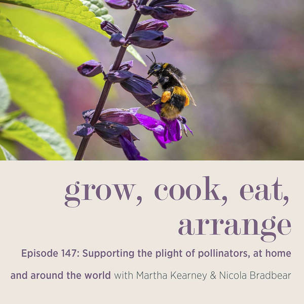 Supporting the Plight of Pollinators, At Home and Around the World with Martha Kearney & Nicola Bradbear #147
