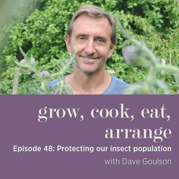 Protecting our insect population with Author & Professor, Dave Goulson - Episode 48