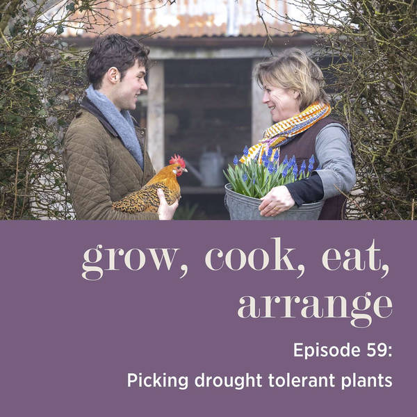 Picking Drought Tolerant Plants - Episode 59