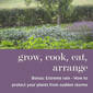 Extreme Rain: How to Protect Your Plants from Sudden Storms #BONUS