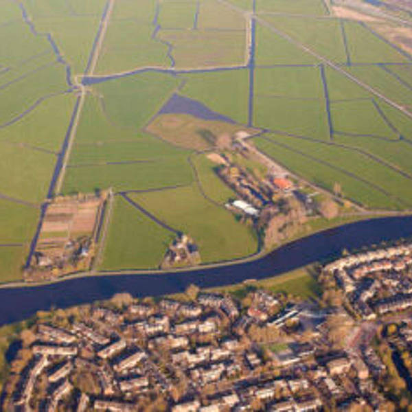 #13 When mathematicians and environmental scientists meet: an interview with Professor Paula Harrison and Dr Martine Barons