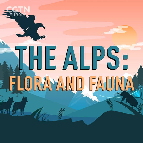 The Alps: Timeless and changing - Flora and fauna