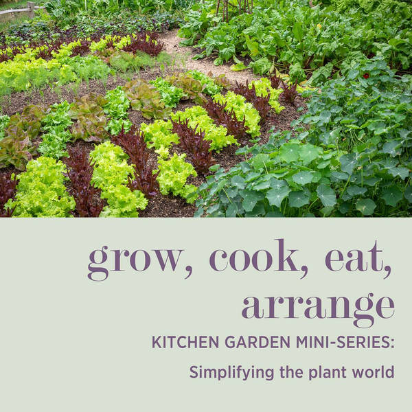 KITCHEN GARDEN MINI-SERIES: Simplifying the Plant World