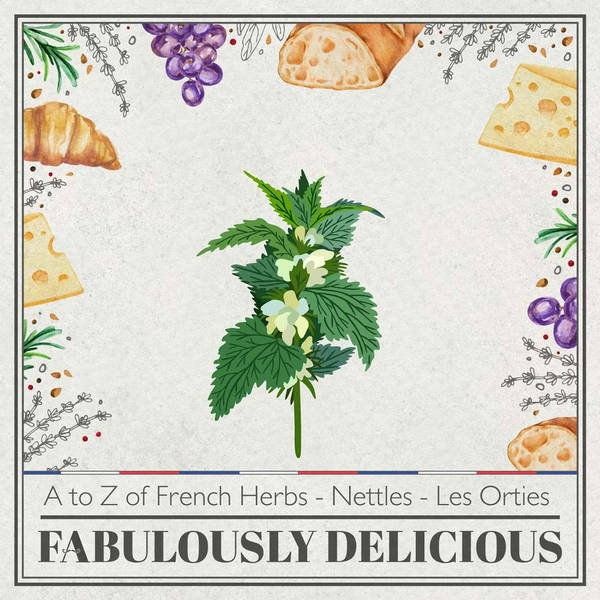 A to Z of French Herbs - Nettles - Les Orties