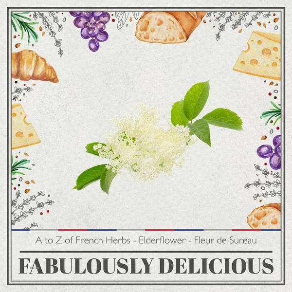 A to Z of French Herbs - Elderflower - Fleur de sureau