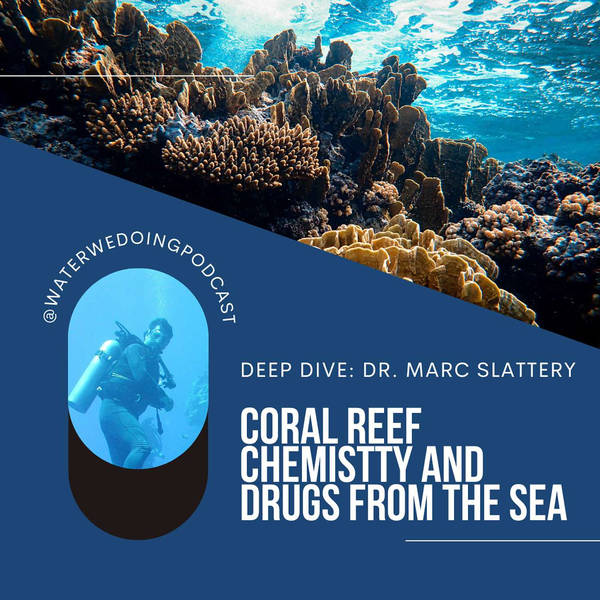 Deep Dive: Dr. Marc Slattery, Coral Reef Chemistry and Drugs from the Sea