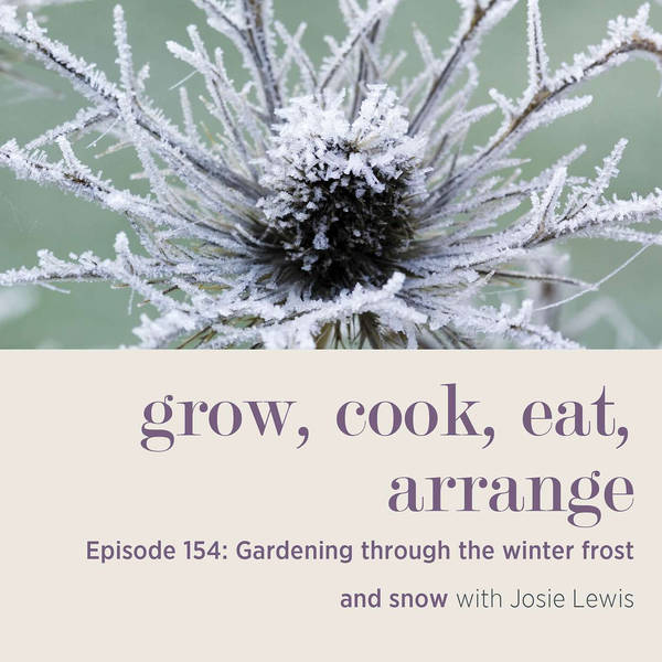 Gardening Through the Winter Frost and Snow with Josie Lewis - Episode 154