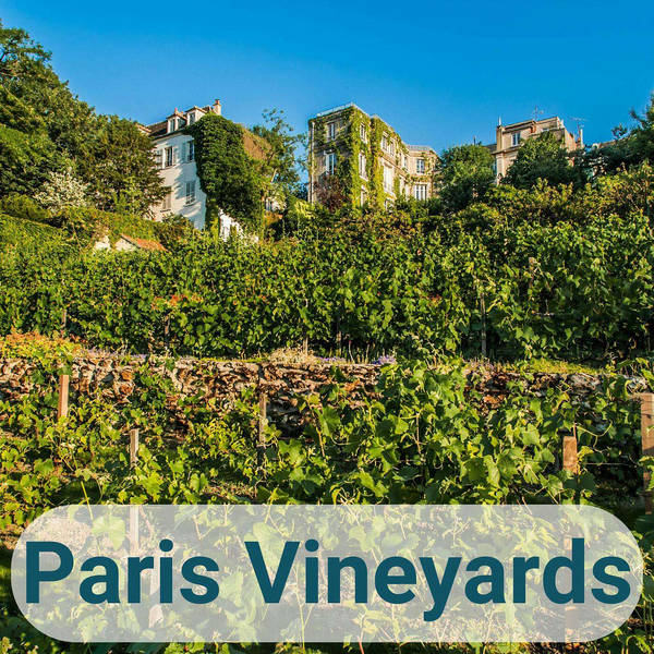 Paris Vineyards with Geoffrey Finch
