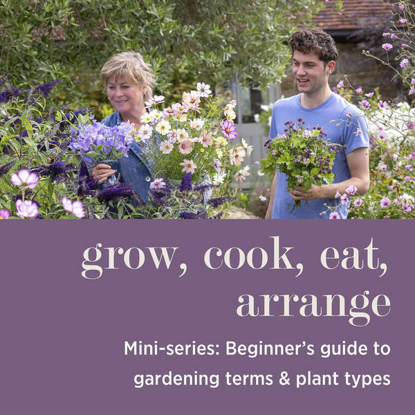 MINI-SERIES: Beginner’s Guide to Gardening Terms & Plant Types