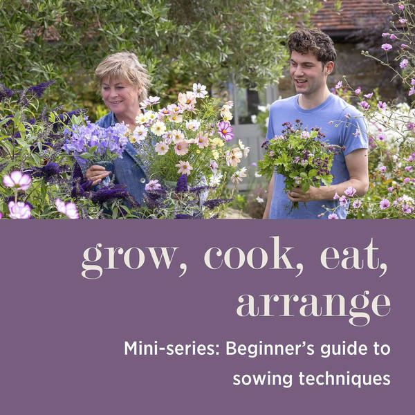 MINI-SERIES: Beginner’s Guide to Sowing Techniques