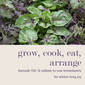 12 Edibles to Sow Immediately for Winter-Long Joy - Episode 139