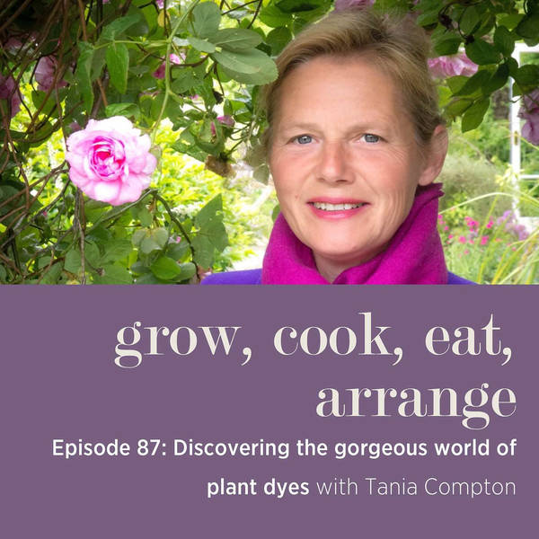 Discovering the Gorgeous World of Plant Dyes with Tania Compton - Episode 87