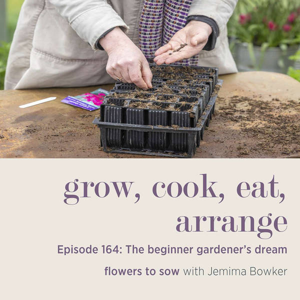 The Beginner Gardener’s Dream Flowers to Sow with Jemima Bowker - Episode 164