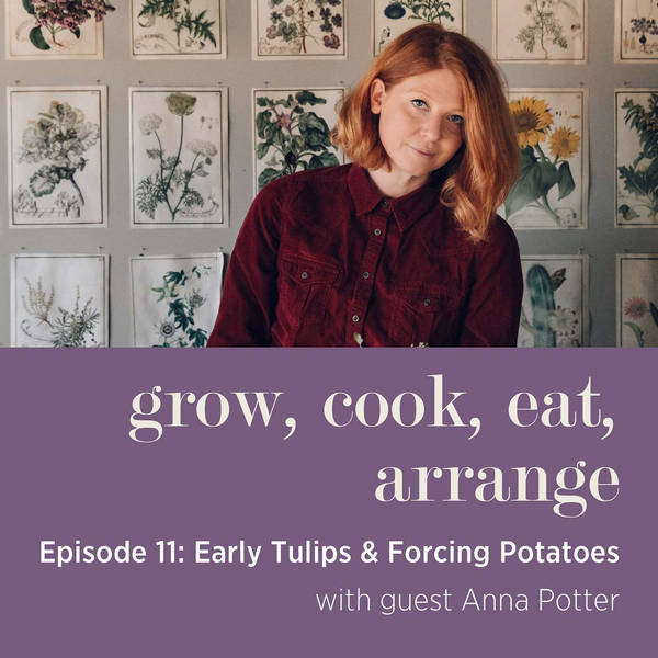 Early Tulips & Forcing Potatoes with Swallows & Damsons', Anna Potter - Episode 11