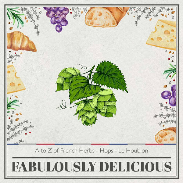 A to Z of French Herbs - Hops - Le Houblon