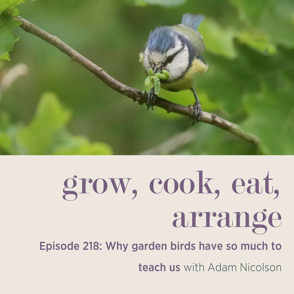 Why garden birds have so much to teach us with Adam Nicolson - Episode 218
