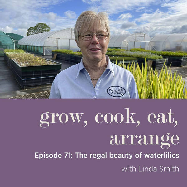 The Regal Beauty of Waterlilies with Linda Smith - Episode 71