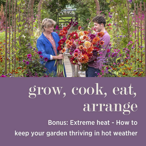 Extreme Heat: How to Keep Your Garden Thriving in Hot Weather #BONUS
