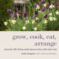 Bring small spaces alive with pots and bulb lasagnes with Jemima Bowker - Episode 196
