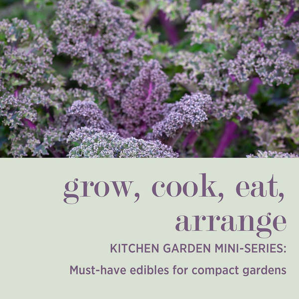KITCHEN GARDEN MINI-SERIES: Must-Have Edibles for Compact Gardens