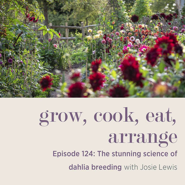 The Stunning Science of Dahlia Breeding with Josie Lewis - Episode 124