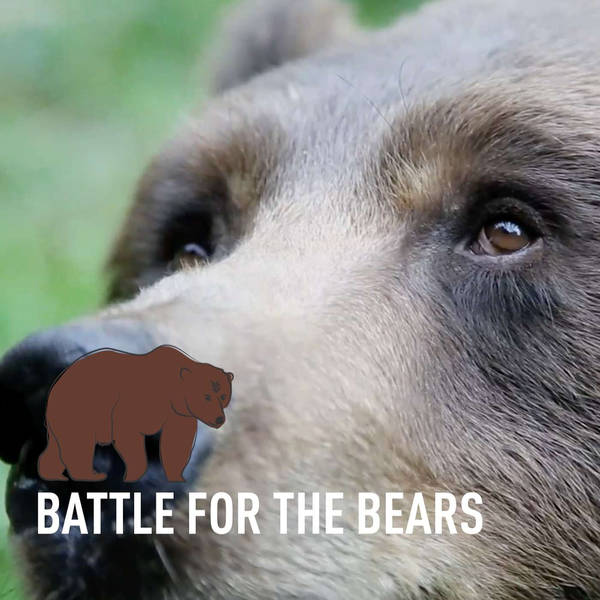 Changemakers: Battle for the bears