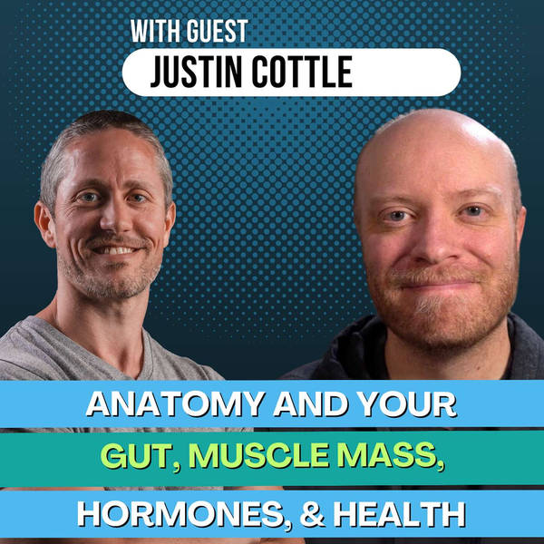 Ep 177: How Anatomy Impacts Your Gut, Muscle Mass, Hormones, and Health with Justin Cottle