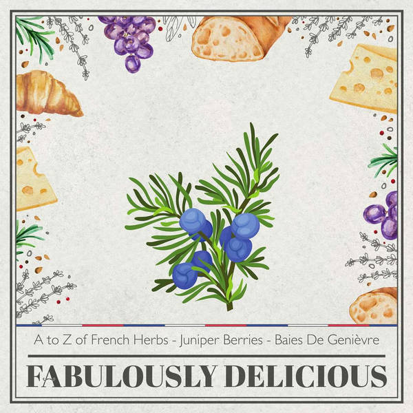 A to Z of French Herbs - Juniper Berries - Baies de genièvre