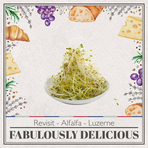 Revisit A to Z fo French Herbs Alfalfa - Luzerne