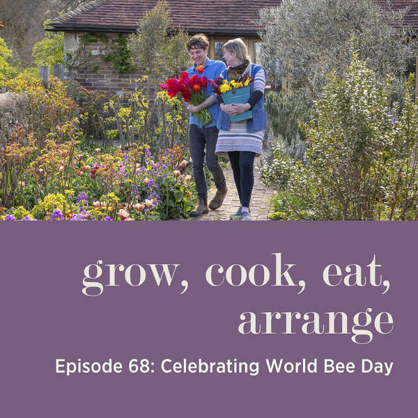 Celebrating World Bee Day - Episode 68