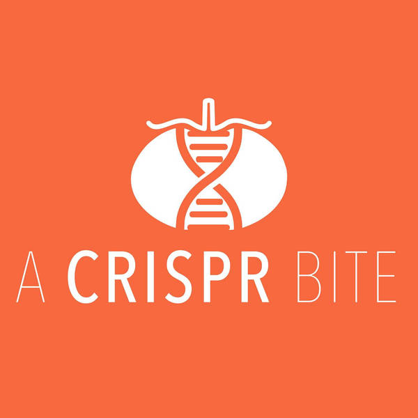 Presenting A CRISPR Bite: Wine