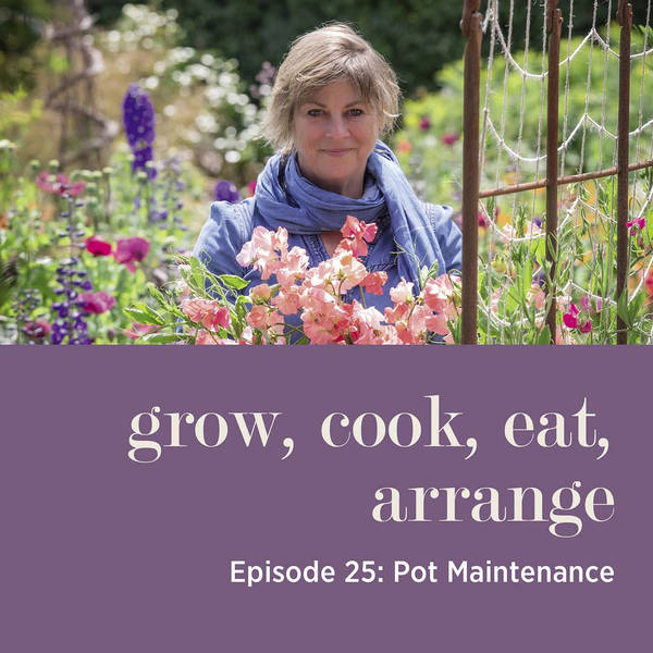 Pot Maintenance with Sarah Raven & Arthur Parkinson - Episode 25
