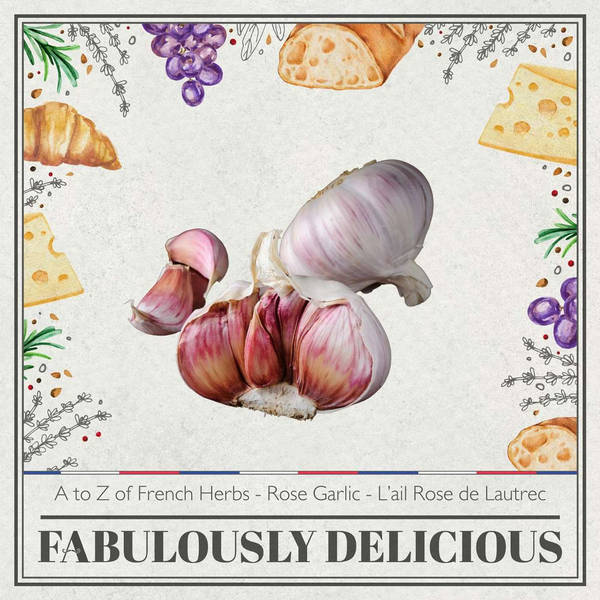 A to Z of French Herbs - Rose Garlic - Ail Rose de Lautrec