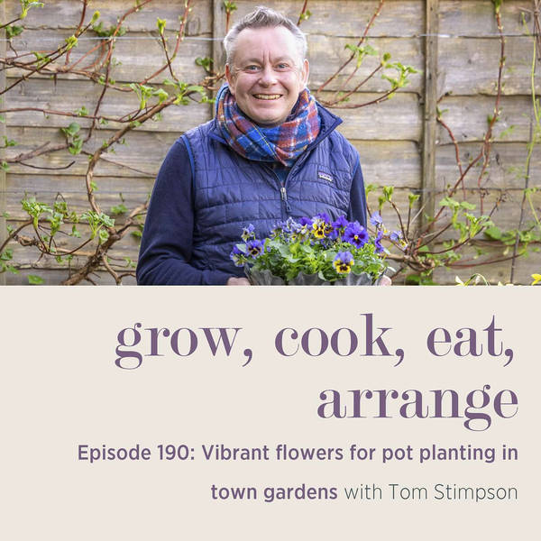 Vibrant flowers for pot planting in town gardens with Tom Stimpson - Episode 190