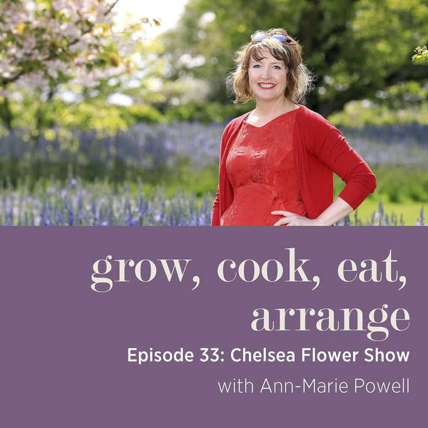 Chelsea Flower Show with Award-Winning Garden Designer Ann-Marie Powell - Episode 33