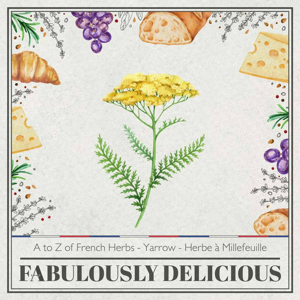 Revisit - A to Z of French Herbs - Yarrow