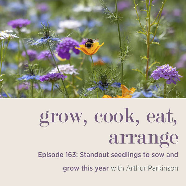 Standout Seedlings to Sow and Grow This Year with Arthur Parkinson - Episode 163