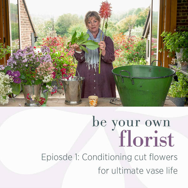 Be Your Own Florist Mini-Series: Conditioning cut flowers for ultimate vase life