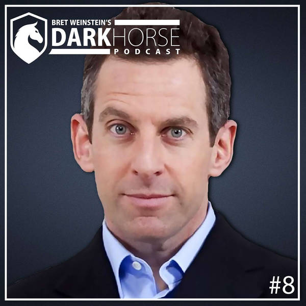 Sam Harris | Bret Weinsteins DarkHorse Podcast #8