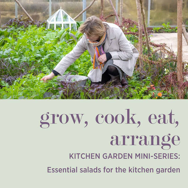 KITCHEN GARDEN MINI-SERIES: Essential Salads for the Kitchen Garden