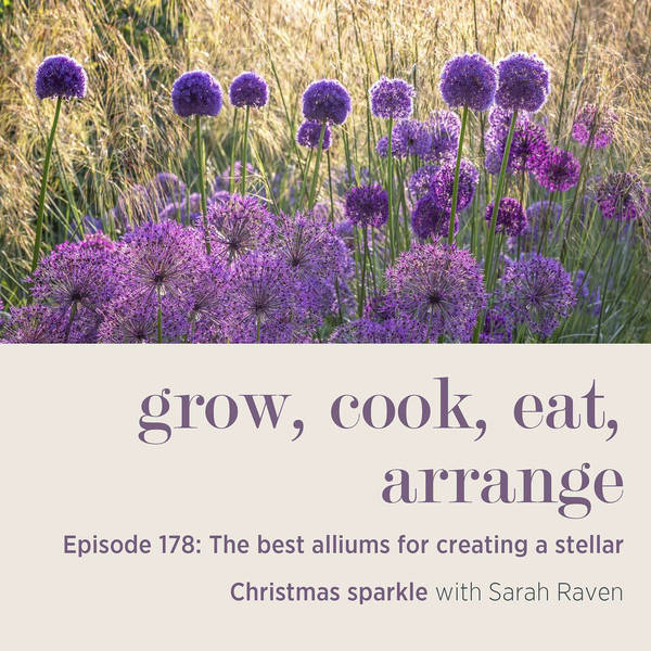 The best alliums for creating a stellar Christmas sparkle - Episode 178