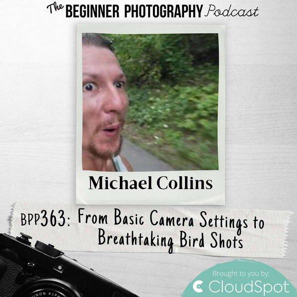 From Basic Camera Settings to Breathtaking Bird Shots with Michael Collins
