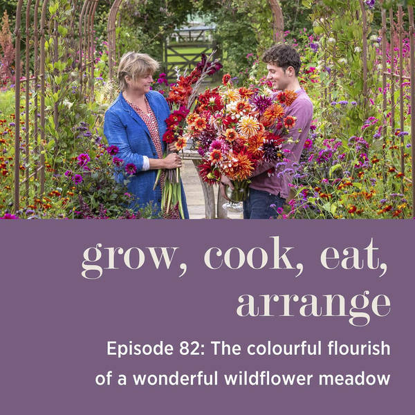 The Colourful Flourish of a Wonderful Wildflower Meadow - Episode 82