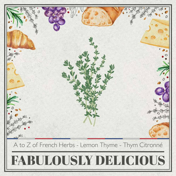 A to Z of French Herbs - Lemon Thyme - Thym Citronné