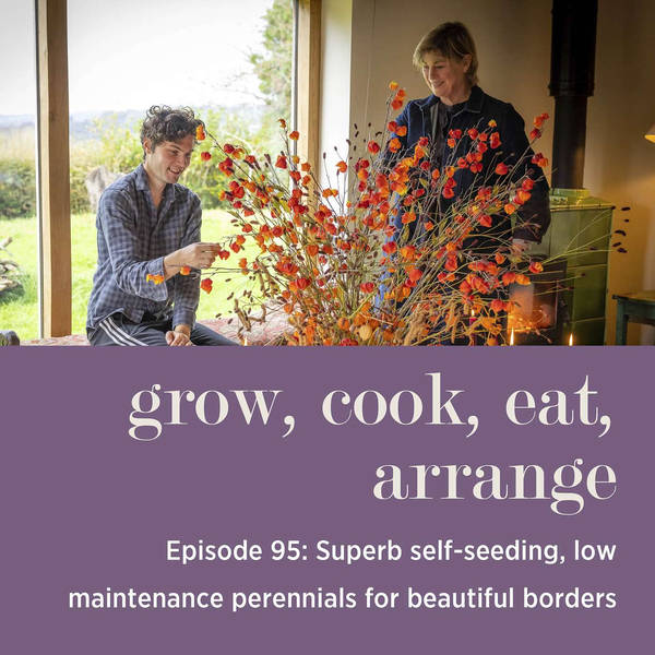 Superb Self-Seeding, Low Maintenance Perennials for Beautiful Borders - Episode 95