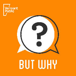 But Why: A Podcast for Curious Kids image