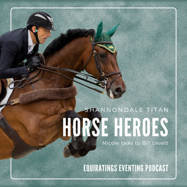 Horse Heroes: Shannondale Titan